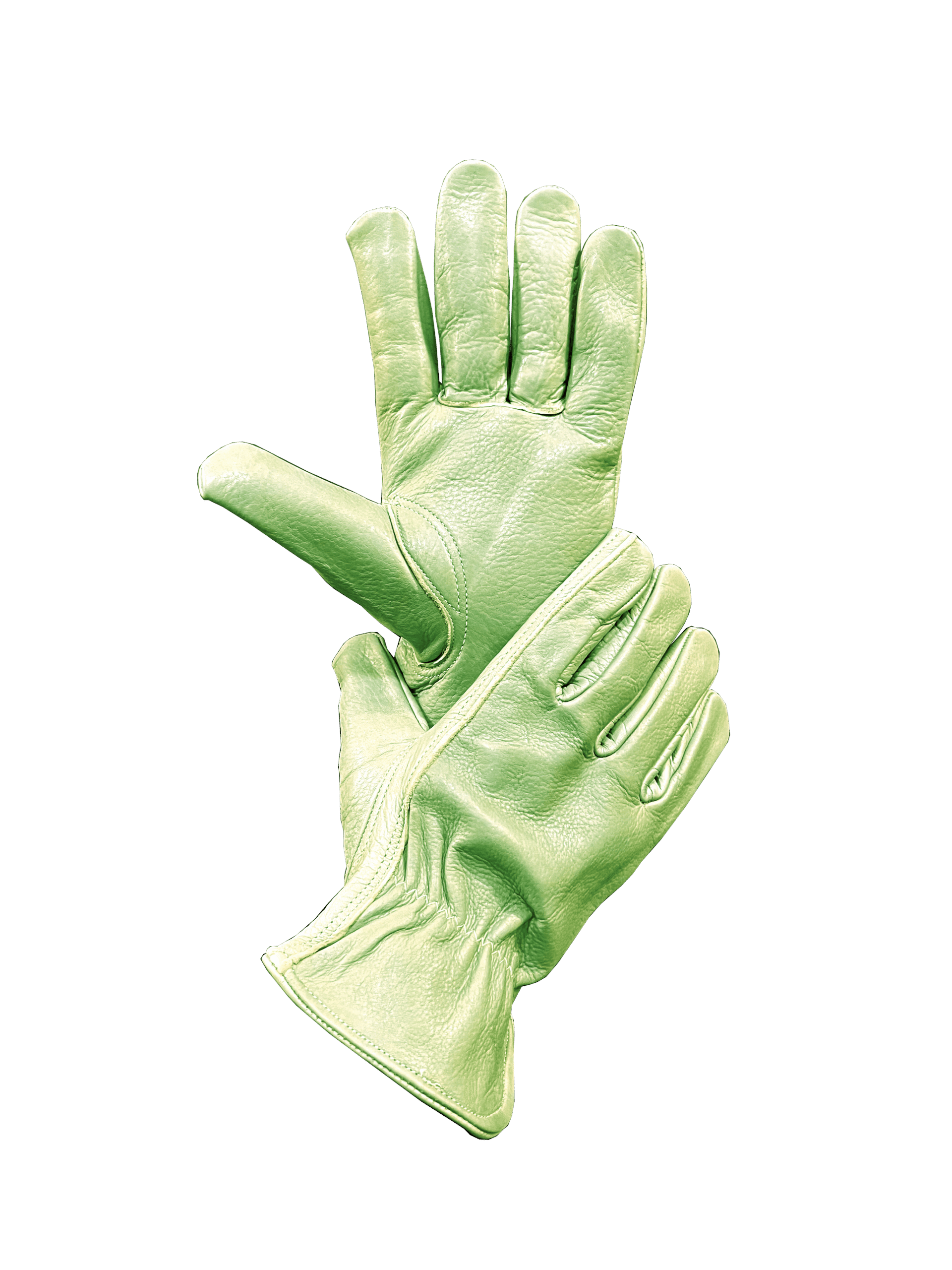 Leather Driving Gloves